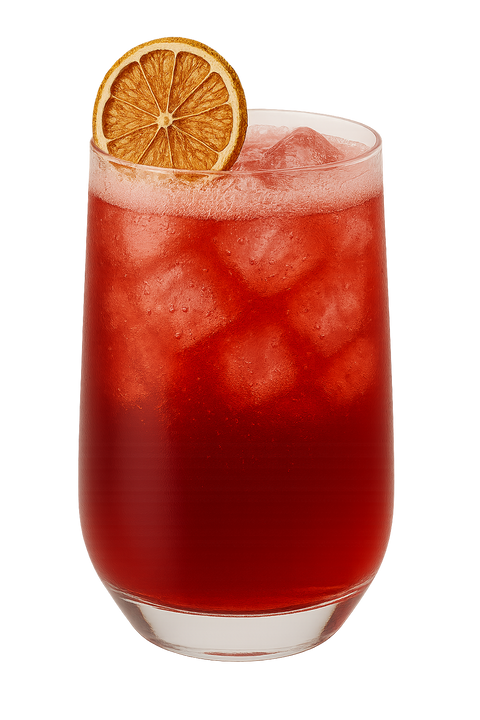 hibiscus spritz